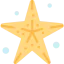 Starfish ícone 64x64