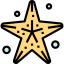Starfish 图标 64x64