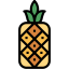 Pineapple 图标 64x64
