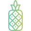 Pineapple Ikona 64x64