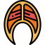 Salmon icon 64x64