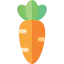 Carrot Ikona 64x64