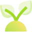 Sprout icon 64x64
