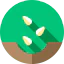 Seeds icon 64x64