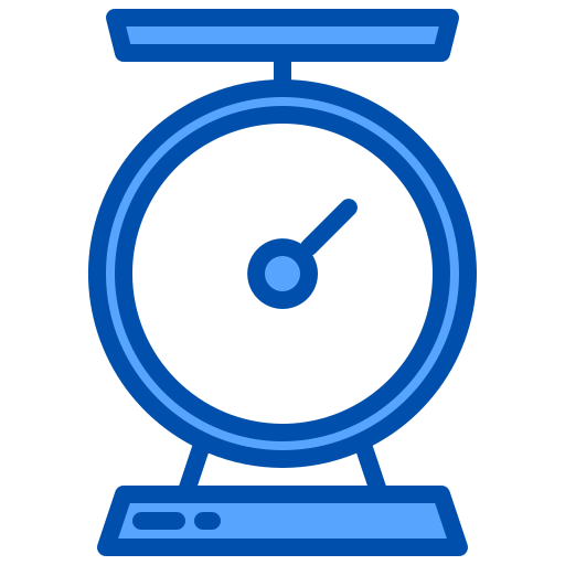 Scale icon