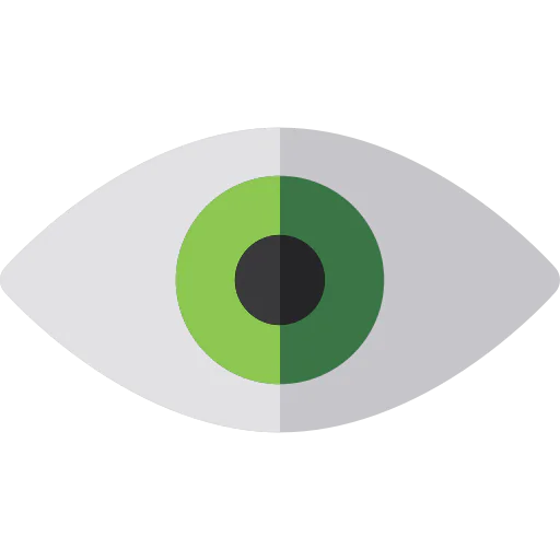 Visibility icon
