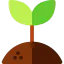 Sprout icon 64x64