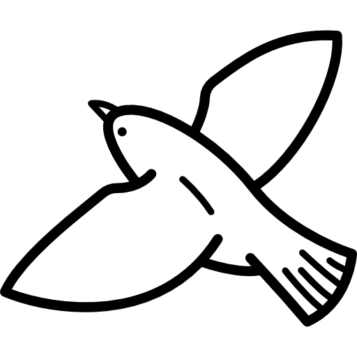 Bird Migration icon