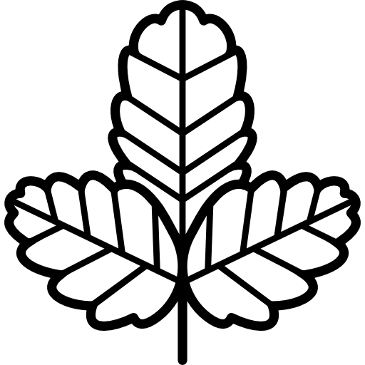 Leaf icon