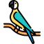 Macaw icon 64x64