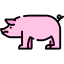 Pig icon 64x64