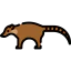 Coati icon 64x64