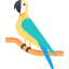 Macaw icon 64x64