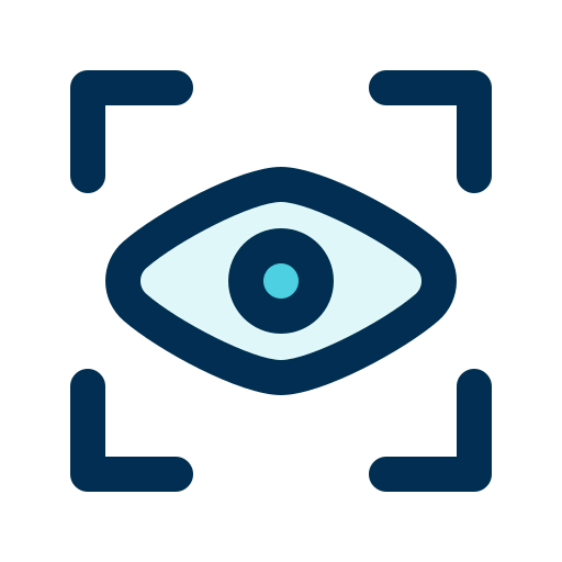 Vision icon
