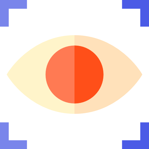 Focus icon