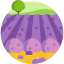 Lavender field icon 64x64