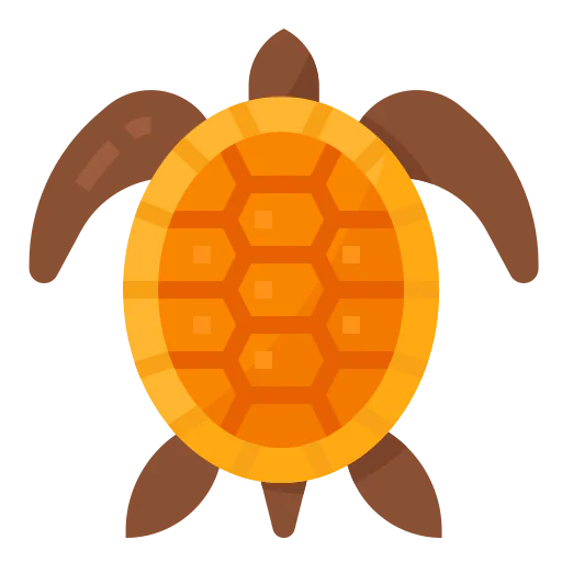 Turtle icon