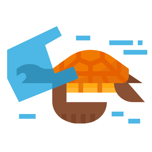Turtle icon