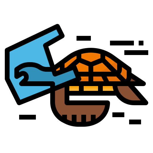 Turtle icon