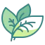 Leaf Symbol 64x64