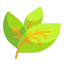 Leaf アイコン 64x64