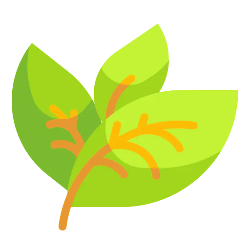 Leaf icon