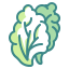 Lettuce ícono 64x64