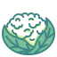 Cauliflower ícono 64x64