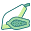 Papaya icon 64x64