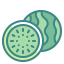 Watermelon icon 64x64