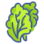 Lettuce icon 64x64