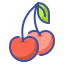 Cherry icon 64x64