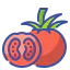 Tomato Symbol 64x64