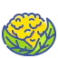 Cauliflower icon 64x64