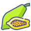 Papaya icon 64x64