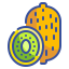 Kiwi icon 64x64
