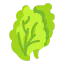 Lettuce icon 64x64