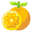 Orange icon 64x64