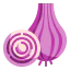 Onion ícono 64x64