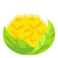 Cauliflower icon 64x64
