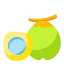 Coconut icon 64x64