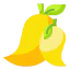 Mango icon 64x64