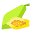 Papaya 상 64x64