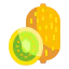 Kiwi icon 64x64