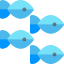 Fish 图标 64x64