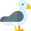 Seagull 图标 64x64