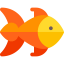 Fish 图标 64x64
