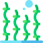 Seaweed 图标 64x64