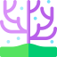 Coral 图标 64x64