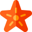 Starfish 图标 64x64